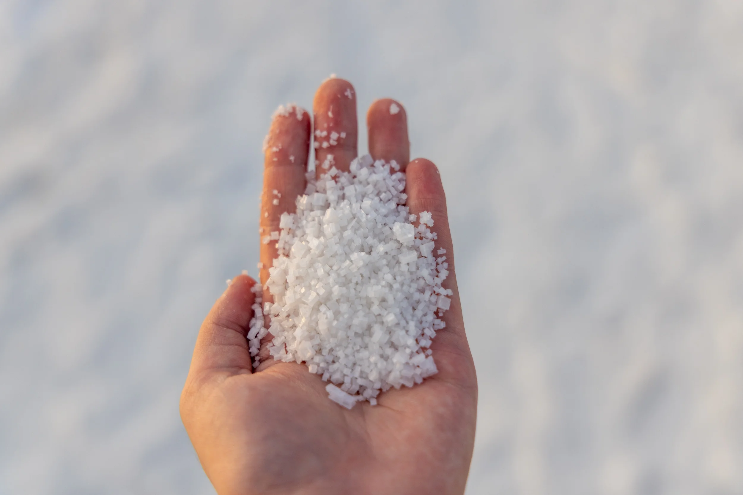 A handful of salt crystals from the lake