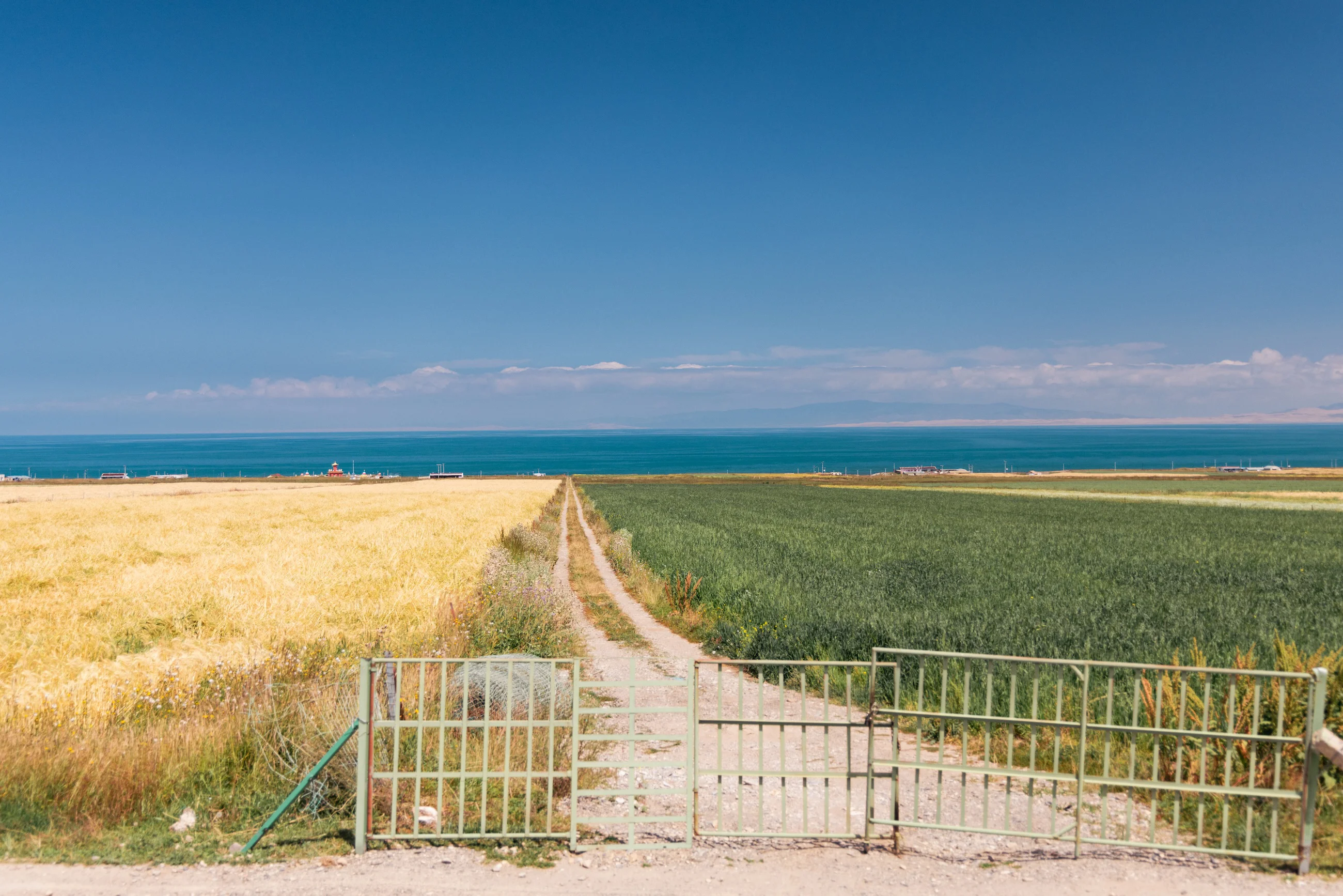 A farm gate opening to Qinghai Lake