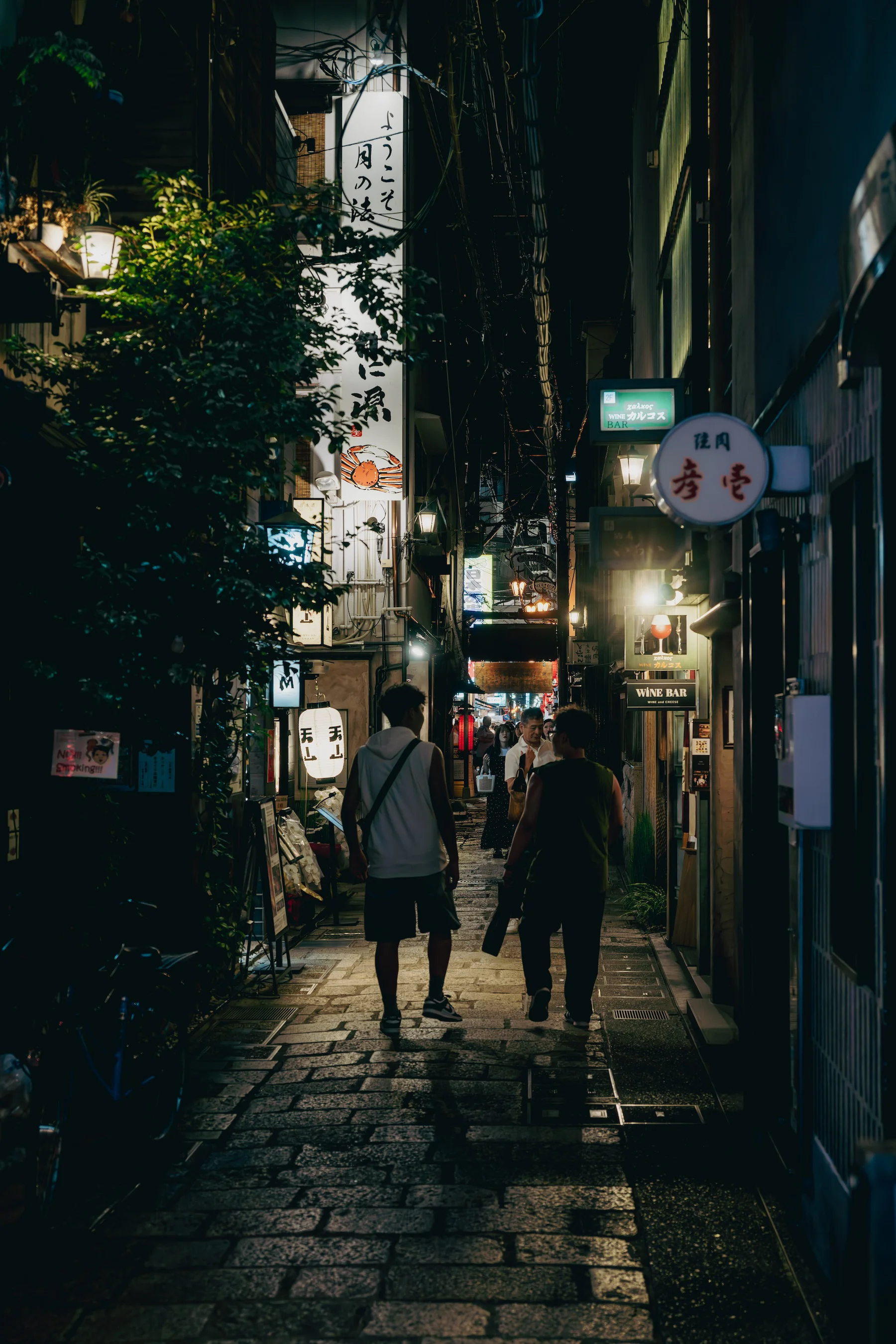 A narrow Osaka alley at night